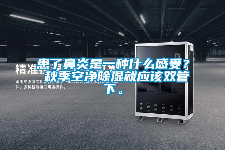 患了鼻炎是一種什么感受？ 秋季空凈除濕就應該雙管下。