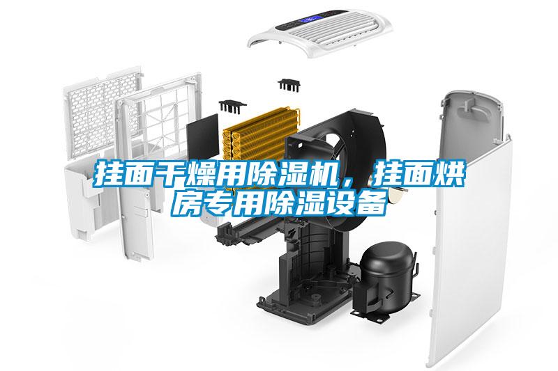 掛面干燥用除濕機，掛面烘房專用除濕設備