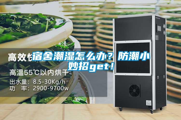 宿舍潮濕怎么辦？防潮小妙招get！