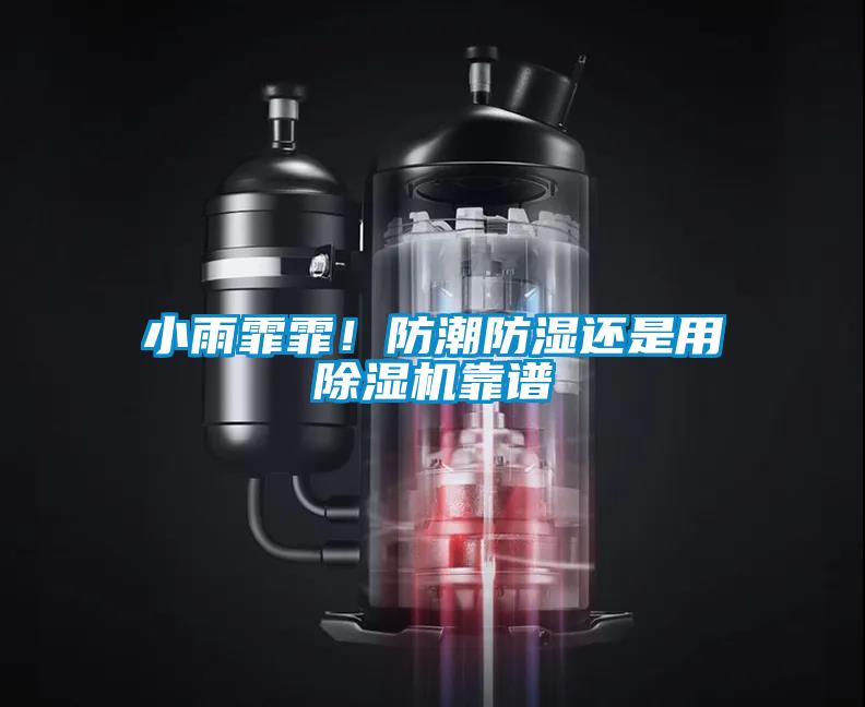 小雨霏霏！防潮防濕還是用除濕機靠譜