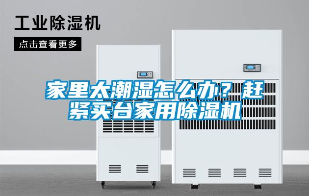 家里太潮濕怎么辦？趕緊買臺家用除濕機
