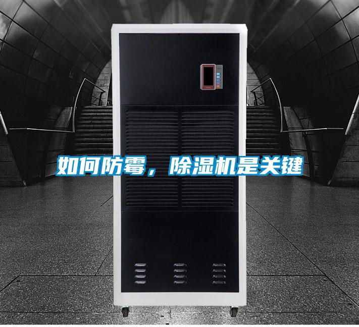 如何防霉，除濕機是關鍵