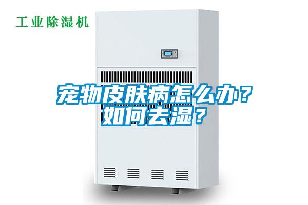 寵物皮膚病怎么辦？如何去濕？