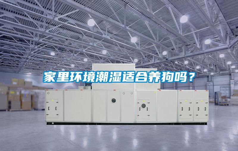 家里環境潮濕適合養狗嗎？