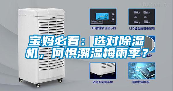 寶媽必看：選對除濕機，何懼潮濕梅雨季？