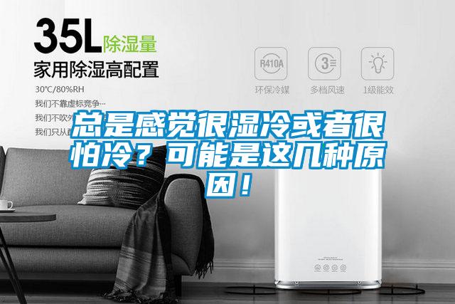 總是感覺很濕冷或者很怕冷？可能是這幾種原因！