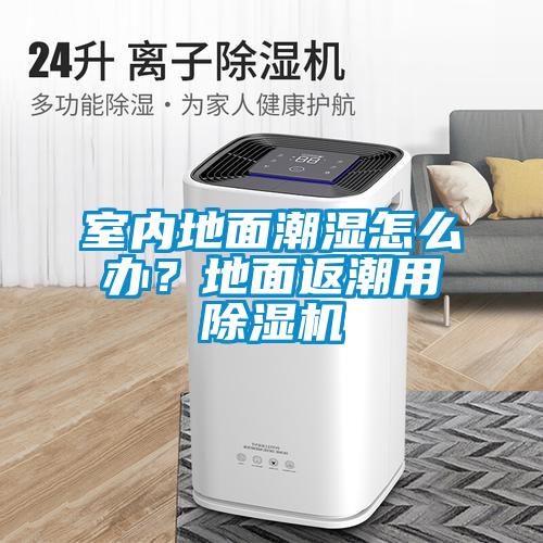 室內地面潮濕怎么辦？地面返潮用除濕機