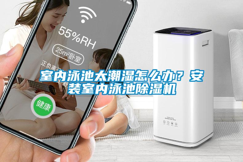 室內泳池太潮濕怎么辦？安裝室內泳池除濕機