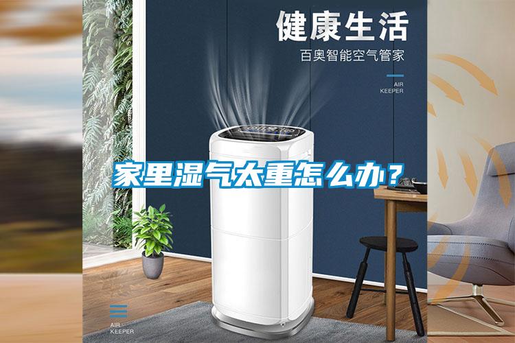家里濕氣太重怎么辦？