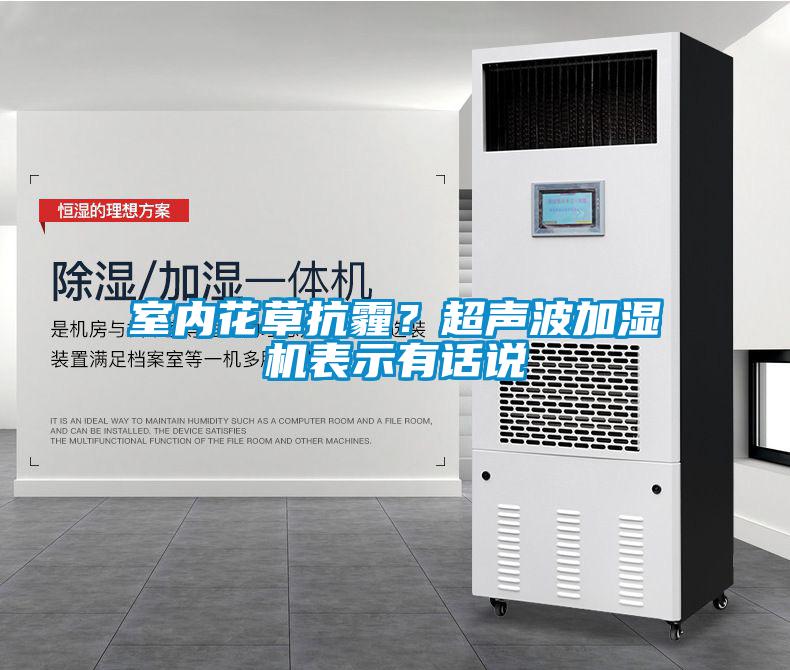 室內花草抗霾？超聲波加濕機表示有話說