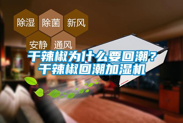 干辣椒為什么要回潮？干辣椒回潮加濕機