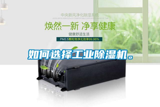 如何選擇工業除濕機。