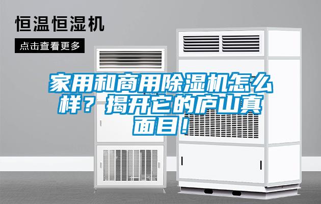 家用和商用除濕機怎么樣？揭開它的廬山真面目！