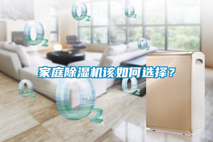 家庭除濕機該如何選擇？
