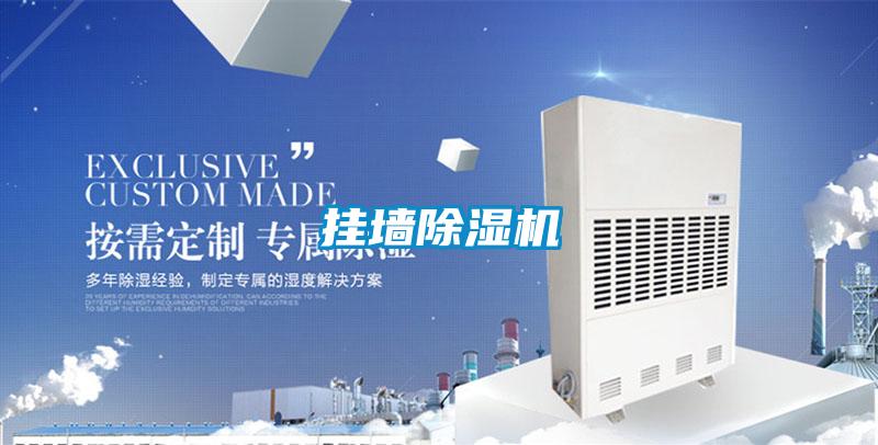 掛墻除濕機