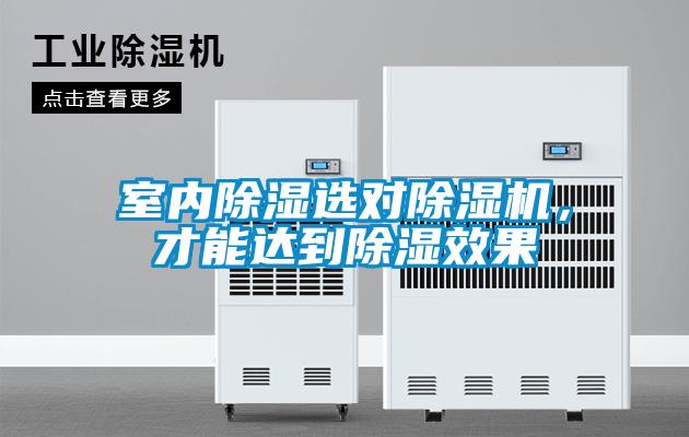 室內除濕選對除濕機，才能達到除濕效果