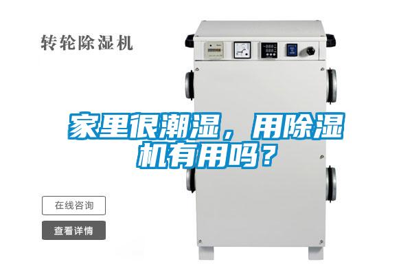 家里很潮濕，用除濕機有用嗎？