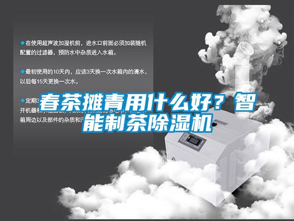 春茶攤青用什么好？智能制茶除濕機