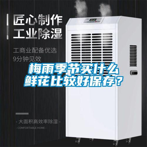 梅雨季節買什么鮮花比較好保存？