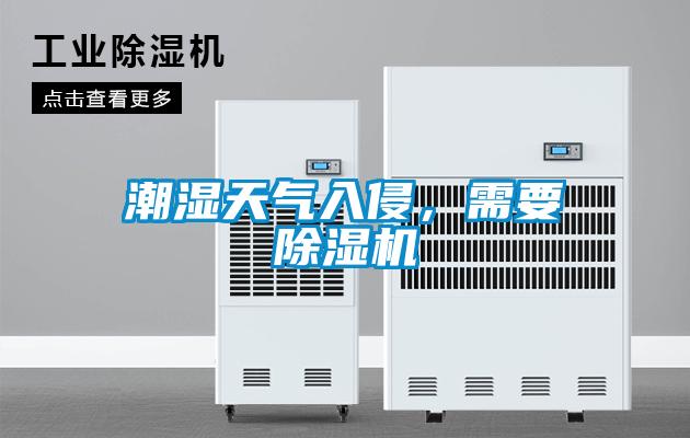 潮濕天氣入侵，需要除濕機