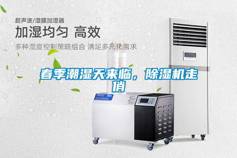 春季潮濕天來臨，除濕機走俏