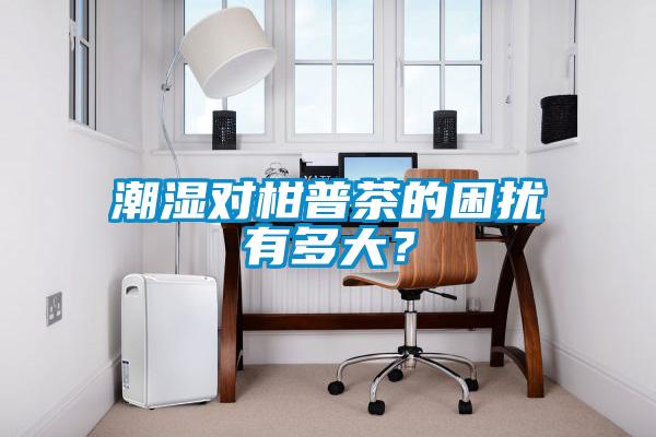 潮濕對柑普茶的困擾有多大？