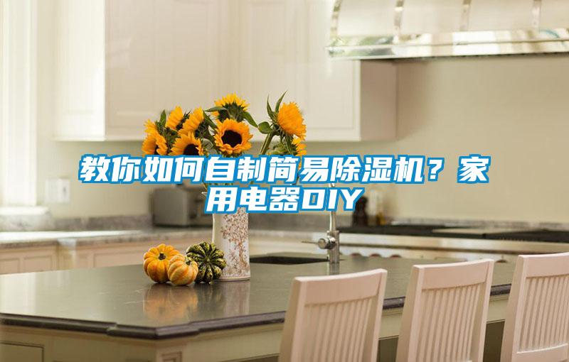 教你如何自制簡易除濕機？家用電器DIY