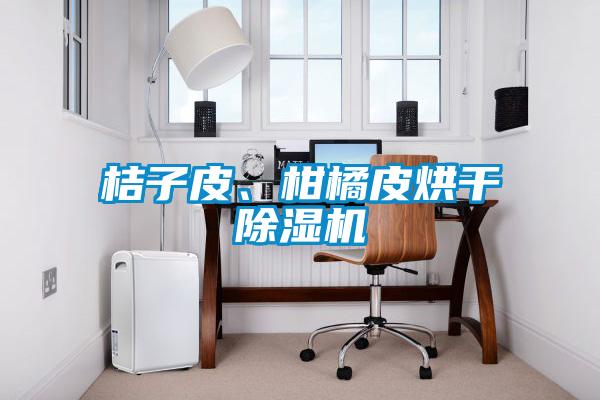 桔子皮、柑橘皮烘干除濕機