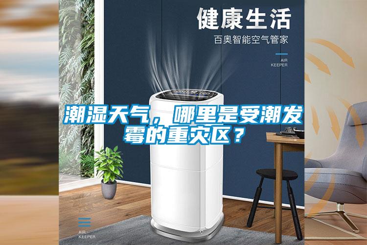 潮濕天氣，哪里是受潮發霉的重災區？