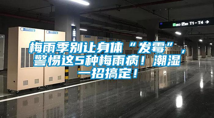 梅雨季別讓身體“發霉”，警惕這5種梅雨??！潮濕一招搞定！