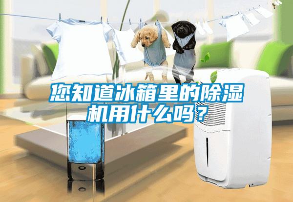 您知道冰箱里的除濕機用什么嗎？