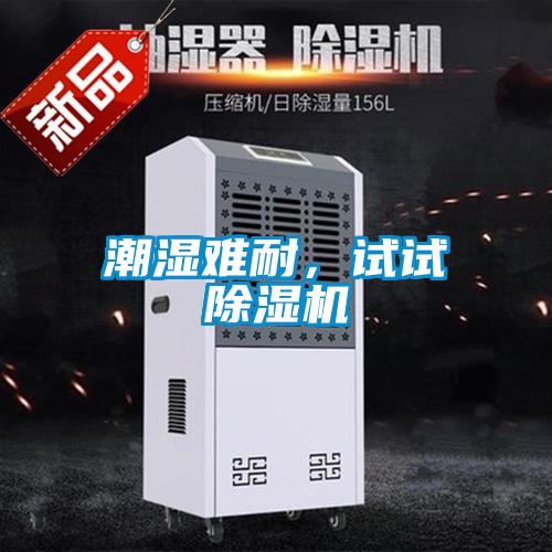 潮濕難耐，試試除濕機