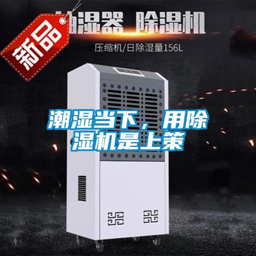 潮濕當下，用除濕機是上策