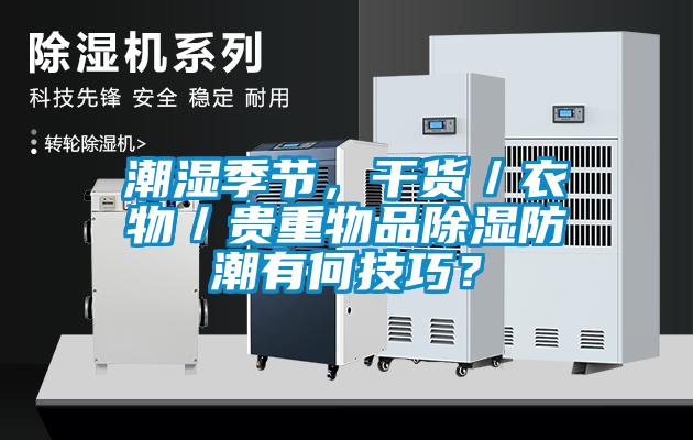 潮濕季節，干貨／衣物／貴重物品除濕防潮有何技巧？