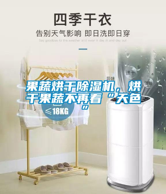 果蔬烘干除濕機，烘干果蔬不再看“天色”
