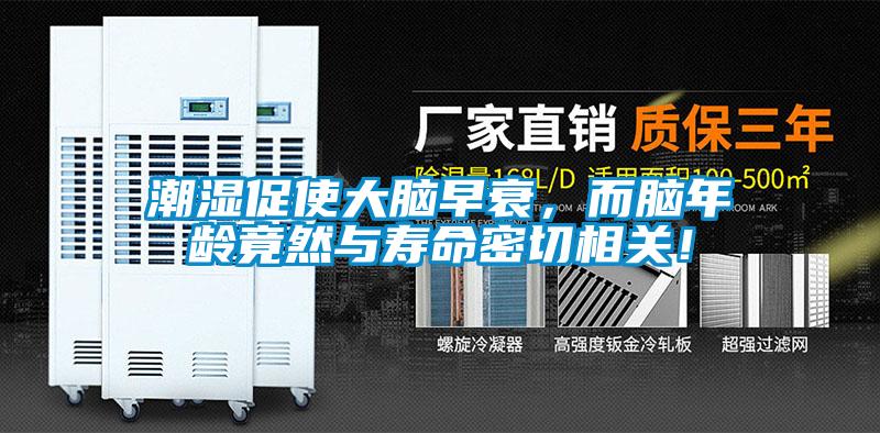 潮濕促使大腦早衰，而腦年齡竟然與壽命密切相關！