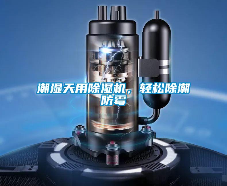 潮濕天用除濕機，輕松除潮防霉