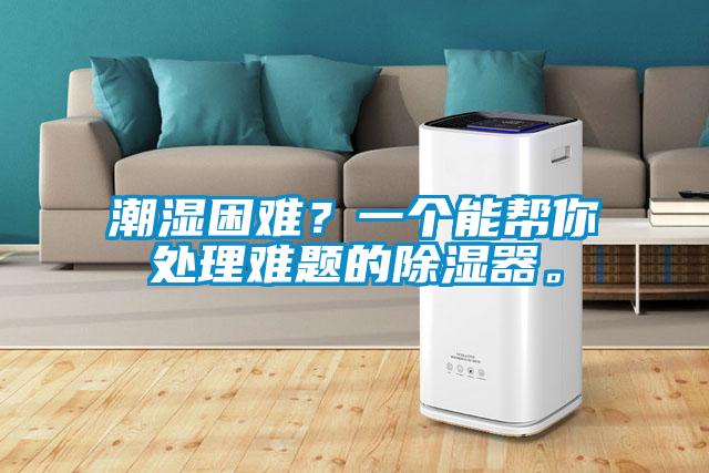 潮濕困難？一個能幫你處理難題的除濕器。