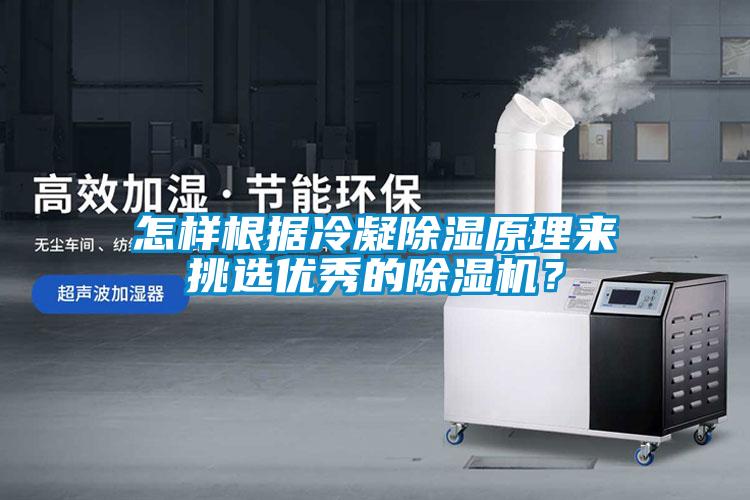 怎樣根據冷凝除濕原理來挑選優秀的除濕機？