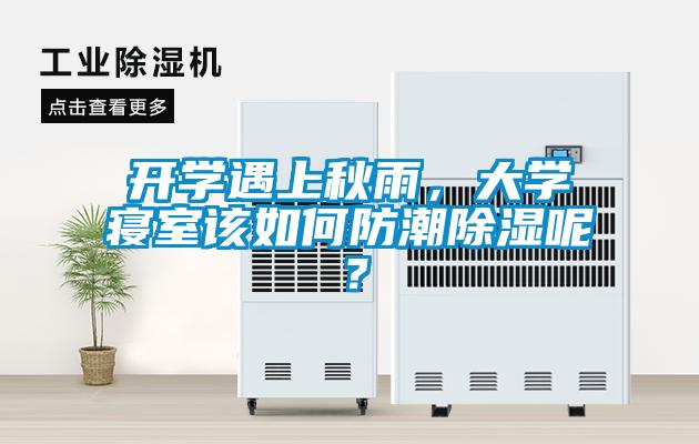 開學遇上秋雨，大學寢室該如何防潮除濕呢？