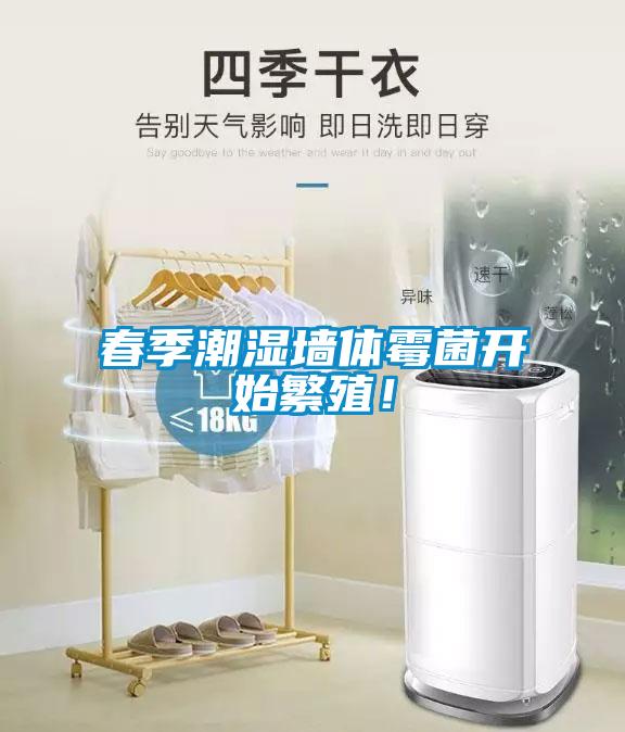 春季潮濕墻體霉菌開始繁殖！