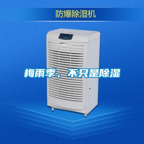 梅雨季，不只是除濕