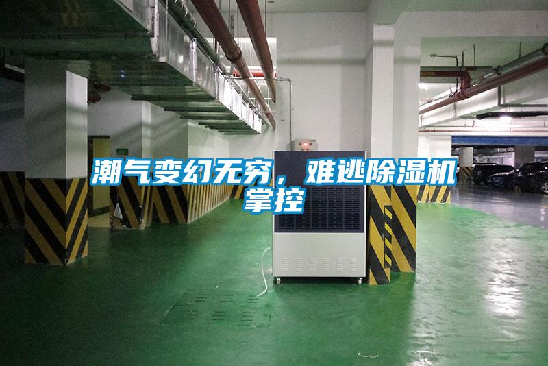 潮氣變幻無窮，難逃除濕機掌控