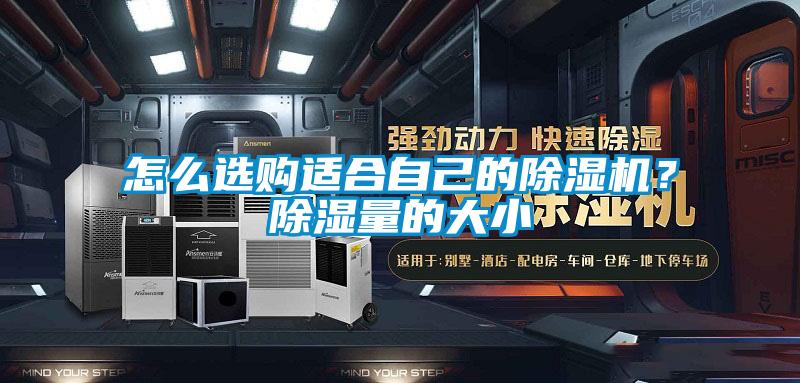 怎么選購適合自己的除濕機？除濕量的大小