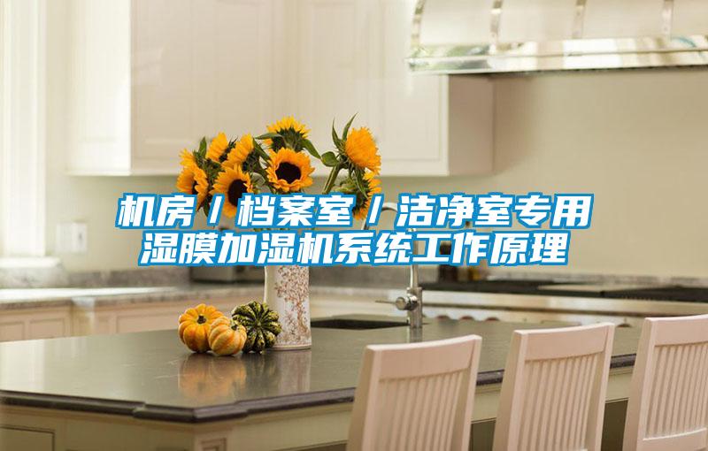 機房／檔案室／潔凈室專用濕膜加濕機系統工作原理