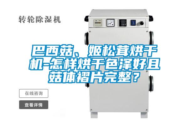 巴西菇、姬松茸烘干機-怎樣烘干色澤好且菇體褶片完整？