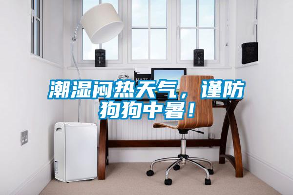 潮濕悶熱天氣，謹防狗狗中暑！