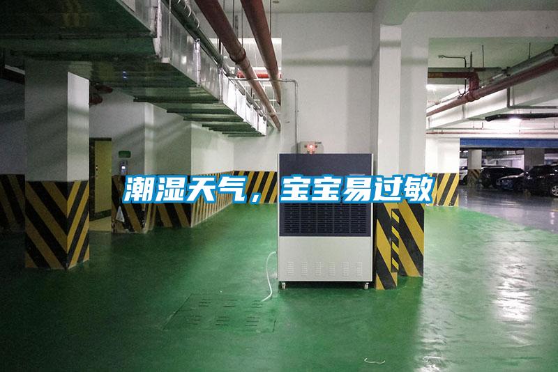 潮濕天氣，寶寶易過敏