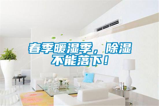 春季暖濕季，除濕不能落下！