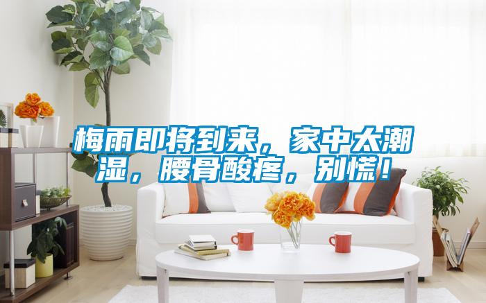梅雨即將到來，家中太潮濕，腰骨酸疼，別慌！